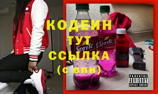 молекула духа Пересвет