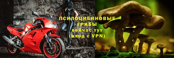 мдпв Пестово