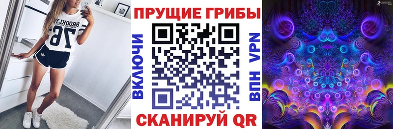 сколько стоит Зеленоградск Псилоцибиновые грибы мухоморы